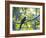 A White-Tailed Trogon on a Branch in the Atlantic Rainforest in Ubatuba, Brazil-Alex Saberi-Framed Photographic Print