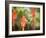 A White-Throated Hummingbird Feeds from Flower in Ibirapuera Park-Alex Saberi-Framed Photographic Print