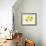 A Whole Lemon, Lemon Slices and Leaves-Petr Gross-Framed Photographic Print displayed on a wall