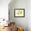 A Whole Lemon, Lemon Slices and Leaves-Petr Gross-Framed Photographic Print displayed on a wall