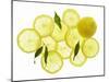 A Whole Lemon, Lemon Slices and Leaves-Petr Gross-Mounted Photographic Print