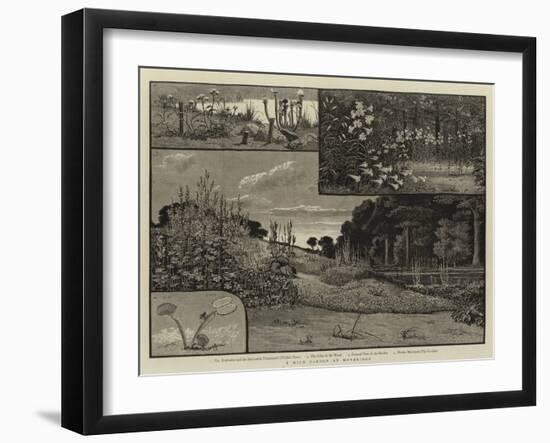 A Wild Garden at Weybridge-null-Framed Giclee Print