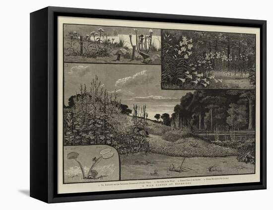 A Wild Garden at Weybridge-null-Framed Premier Image Canvas