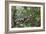 A wild green anaconda (Eunectes murinus), Amazon National Park, Loreto, Peru, South America-Michael Nolan-Framed Photographic Print