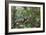 A wild green anaconda (Eunectes murinus), Amazon National Park, Loreto, Peru, South America-Michael Nolan-Framed Photographic Print