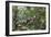 A wild green anaconda (Eunectes murinus), Amazon National Park, Loreto, Peru, South America-Michael Nolan-Framed Photographic Print