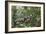 A wild green anaconda (Eunectes murinus), Amazon National Park, Loreto, Peru, South America-Michael Nolan-Framed Photographic Print