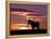 A Wild Horse Lingers at the Edge of the Badlands Near Fryburg, N.D.-Ruth Plunkett-Framed Premier Image Canvas
