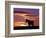 A Wild Horse Lingers at the Edge of the Badlands Near Fryburg, N.D.-Ruth Plunkett-Framed Photographic Print