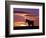 A Wild Horse Lingers at the Edge of the Badlands Near Fryburg, N.D.-Ruth Plunkett-Framed Photographic Print