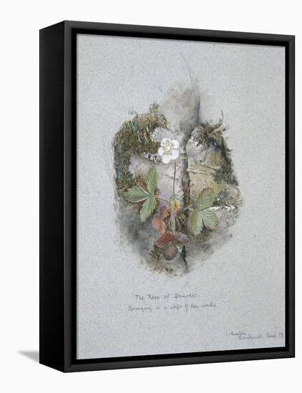 A Wild Strawberry Plant-John Ruskin-Framed Premier Image Canvas