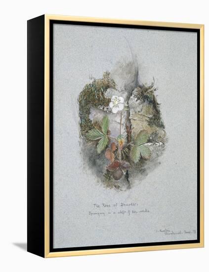 A Wild Strawberry Plant-John Ruskin-Framed Premier Image Canvas