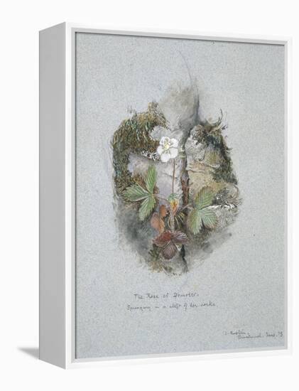 A Wild Strawberry Plant-John Ruskin-Framed Premier Image Canvas