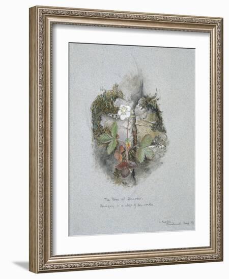 A Wild Strawberry Plant-John Ruskin-Framed Giclee Print