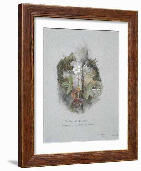 A Wild Strawberry Plant-John Ruskin-Framed Giclee Print