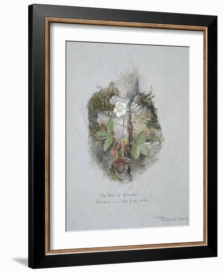 A Wild Strawberry Plant-John Ruskin-Framed Giclee Print