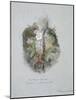 A Wild Strawberry Plant-John Ruskin-Mounted Giclee Print