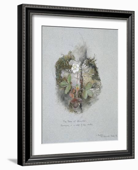 A Wild Strawberry Plant-John Ruskin-Framed Giclee Print