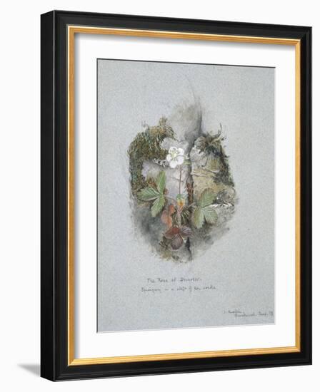 A Wild Strawberry Plant-John Ruskin-Framed Giclee Print