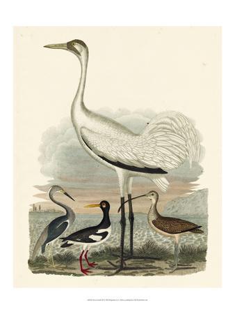 Heron Prints, Paintings, Posters & Wall Art | Art.com