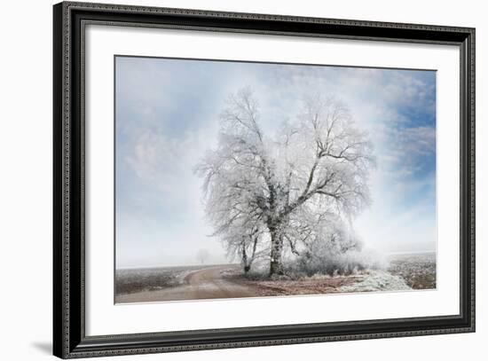 A Winter Day-Philippe Sainte-Laudy-Framed Photographic Print