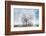 A Winter Day-Philippe Sainte-Laudy-Framed Photographic Print