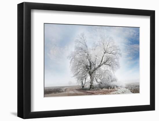 A Winter Day-Philippe Sainte-Laudy-Framed Photographic Print