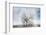 A Winter Day-Philippe Sainte-Laudy-Framed Photographic Print