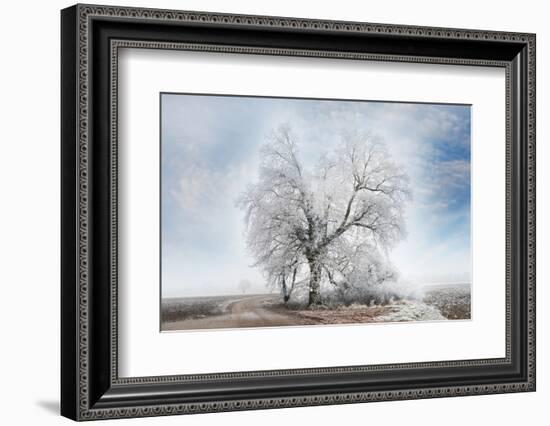 A Winter Day-Philippe Sainte-Laudy-Framed Photographic Print