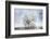 A Winter Day-Philippe Sainte-Laudy-Framed Photographic Print