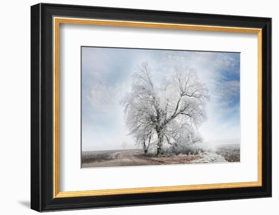 A Winter Day-Philippe Sainte-Laudy-Framed Photographic Print