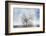 A Winter Day-Philippe Sainte-Laudy-Framed Photographic Print