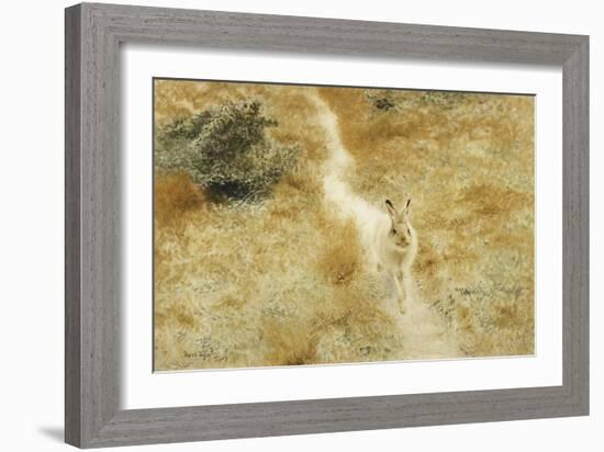 A Winter-Hare in a Landscape-Bruno Liljefors-Framed Giclee Print