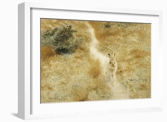 A Winter-Hare in a Landscape-Bruno Liljefors-Framed Giclee Print