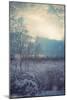 A Winter's Day-Kelly Poynter-Mounted Art Print