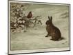 Giclee Print