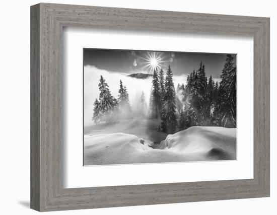 A Winter Tale !-Sorin Onisor-Framed Photographic Print
