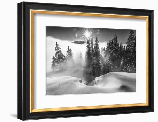 A Winter Tale !-Sorin Onisor-Framed Photographic Print