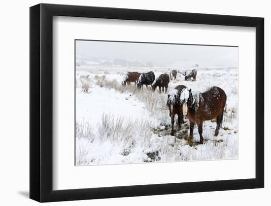 A Wintry Landscape on the Mynydd Epynt Moorland, Powys, Wales, United Kingdom, Europe-Graham Lawrence-Framed Photographic Print