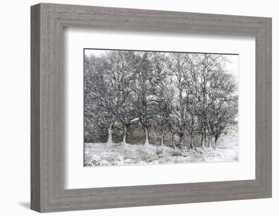 A Wintry Landscape on the Mynydd Epynt Moorland, Powys, Wales, United Kingdom, Europe-Graham Lawrence-Framed Photographic Print