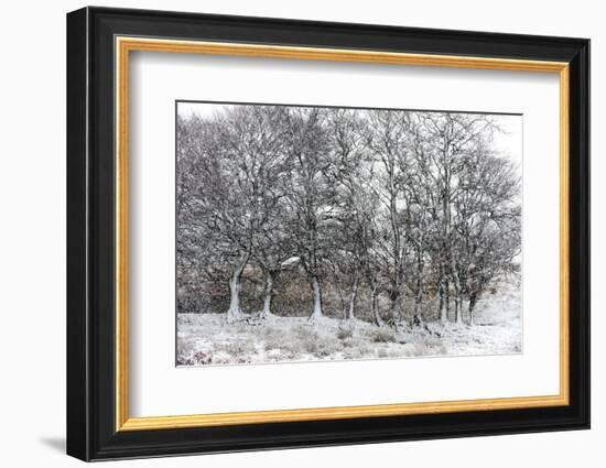 A Wintry Landscape on the Mynydd Epynt Moorland, Powys, Wales, United Kingdom, Europe-Graham Lawrence-Framed Photographic Print