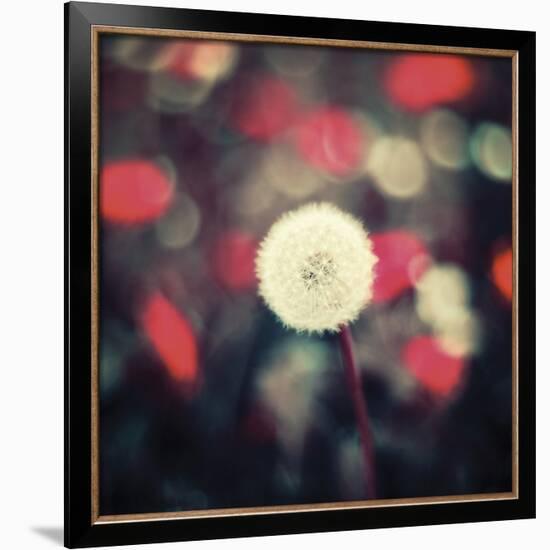 A Wish Flower-David Keochkerian-Framed Art Print