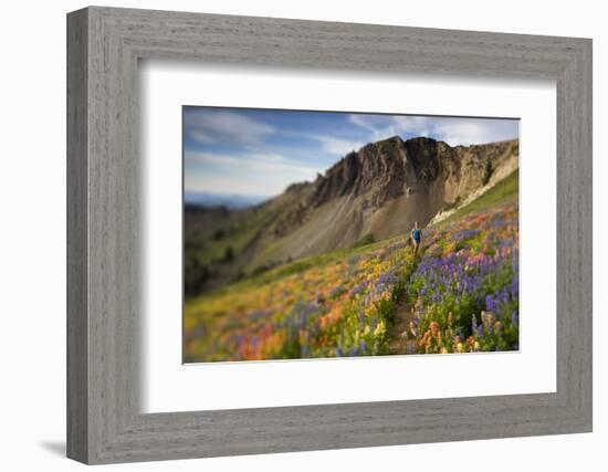 A Woman Enjoys a Morning Trail Run in a Meadow of Wildflowers at Snowbird Ski and Summer Resort, Ut-Adam Barker-Framed Photographic Print