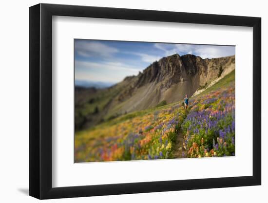 A Woman Enjoys a Morning Trail Run in a Meadow of Wildflowers at Snowbird Ski and Summer Resort, Ut-Adam Barker-Framed Photographic Print
