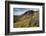 A Woman Enjoys a Morning Trail Run in a Meadow of Wildflowers at Snowbird Ski and Summer Resort, Ut-Adam Barker-Framed Photographic Print