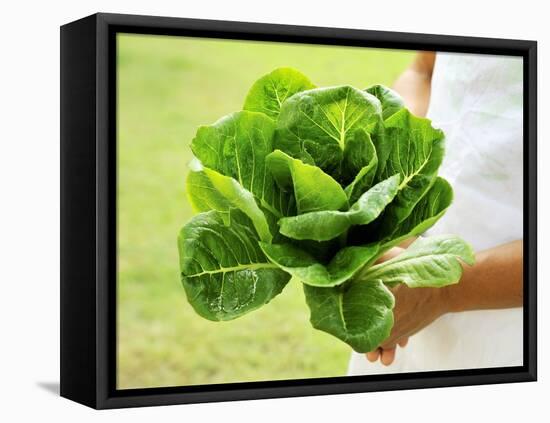 A Woman Holding a Lettuce-null-Framed Premier Image Canvas
