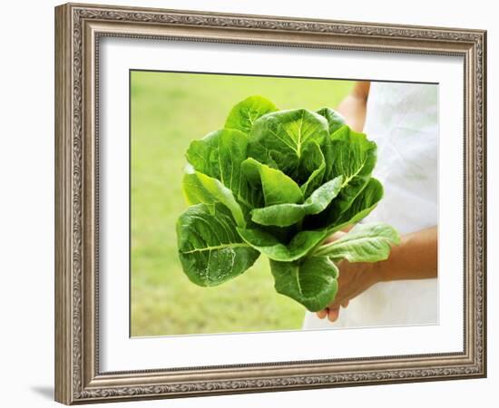 A Woman Holding a Lettuce-null-Framed Photographic Print