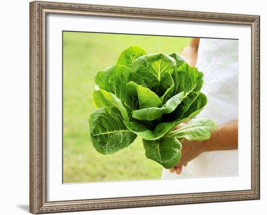 A Woman Holding a Lettuce-null-Framed Photographic Print