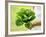 A Woman Holding a Lettuce-null-Framed Photographic Print