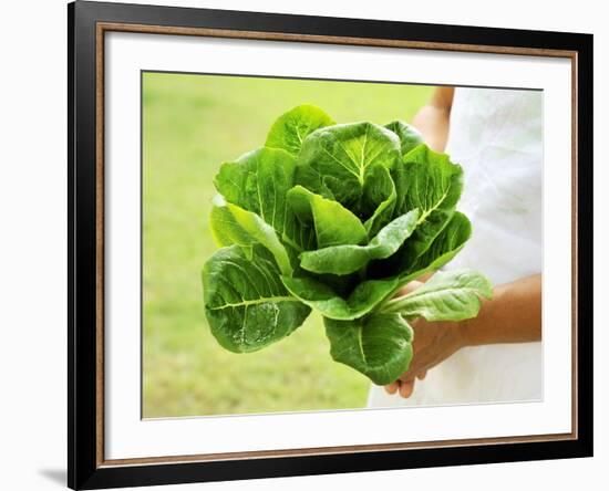 A Woman Holding a Lettuce-null-Framed Photographic Print